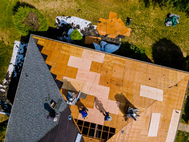Best Roof Gutter Cleaning  in Clarksburg, WV